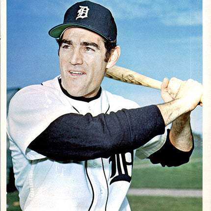 1973 Detroit Tigers Team Issued Dick McCauliffe 7" x 8 5/8" Color photo c06144
