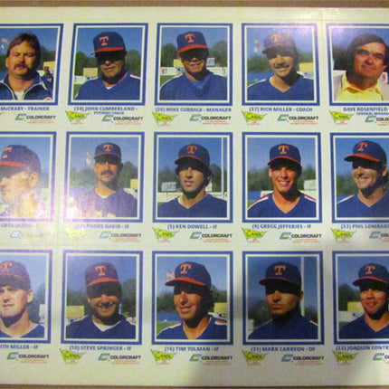 1988 Tidewater Tides ColorCraft CANDL Team Set Uncut Sheet 30 cards (Nrmt) e0065