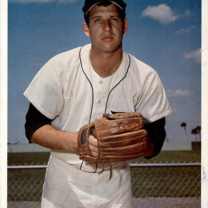 1973 Detroit Tigers Team Issued Mickey Lolich 7" x 8 5/8" Color photo c06147