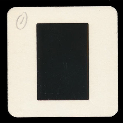 Original 1986 Topps Garbage Pail Kids 10th Series Wax Box Display Slide TP00109