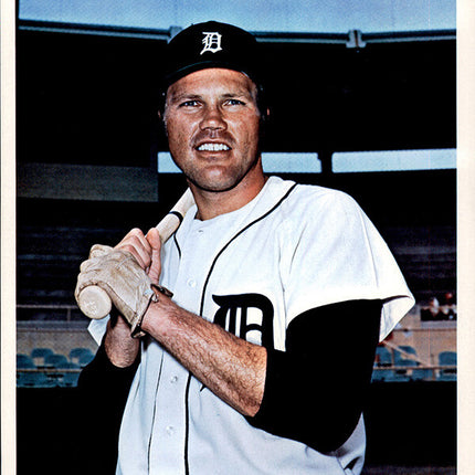 1973 Detroit Tigers Team Issued Bill Freehan 7" x 8 5/8" Color photo c06159