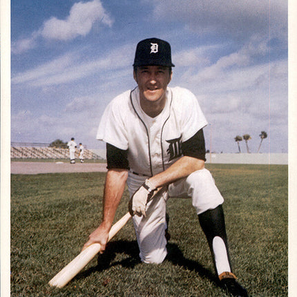 1973 Detroit Tigers Team Issued Ed Brinkman 7" x 8 5/8" Color photo c06148