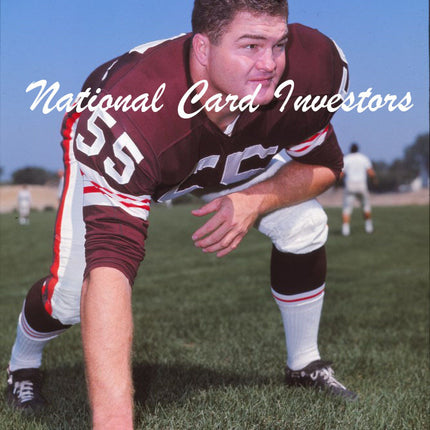 1967 John Demarie Topps Original Transparencies (2) Browns w/envelope tp00011