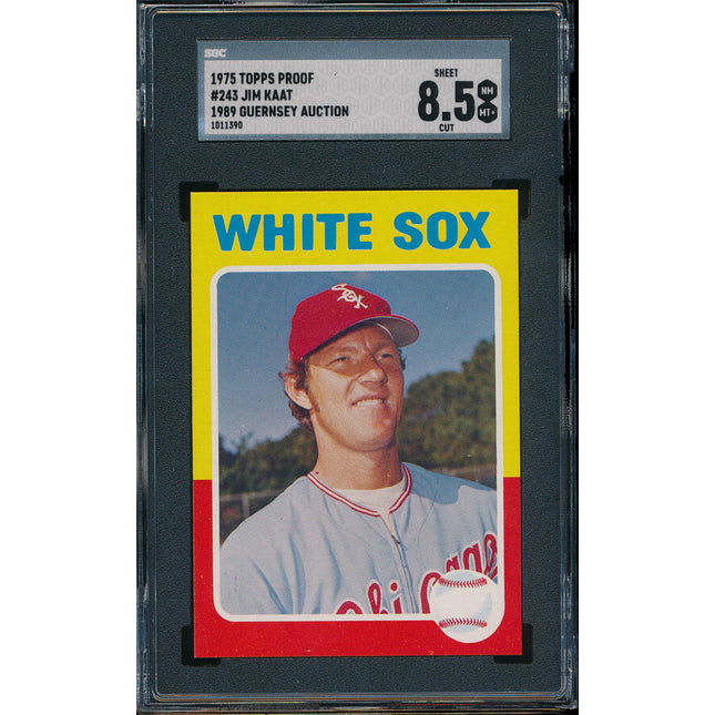 1975 Topps BB 9 Card Progressive Proof #243 Jim Kaat 75TBB06