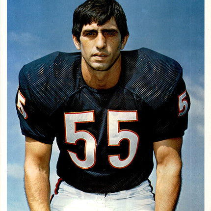 1973 Chicago Bears Team Issued Doug Buffone 7" x 8 5/8" Color photo c06171