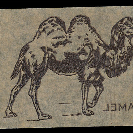 1940's Vintage Paper Iron On Animals Camel Unused EX c06109
