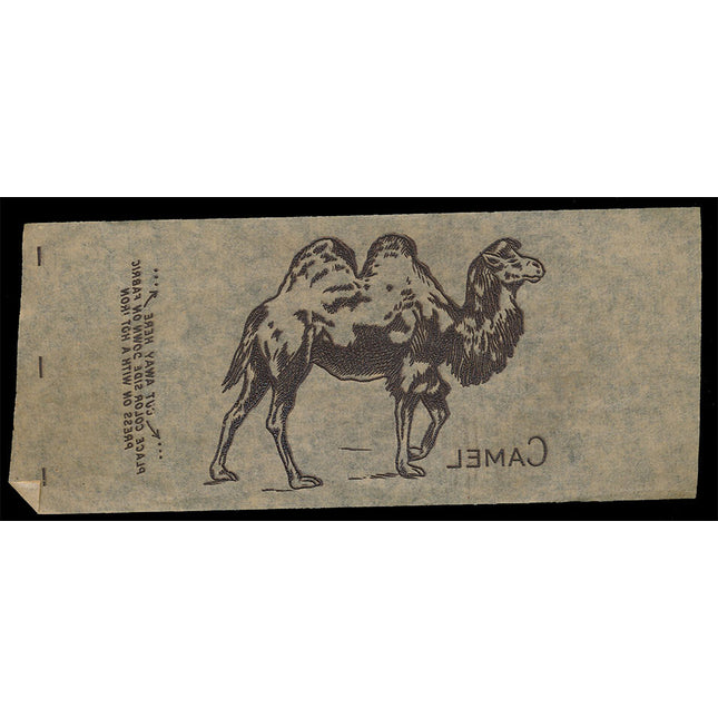 1940's Vintage Paper Iron On Animals Camel Unused EX c06109