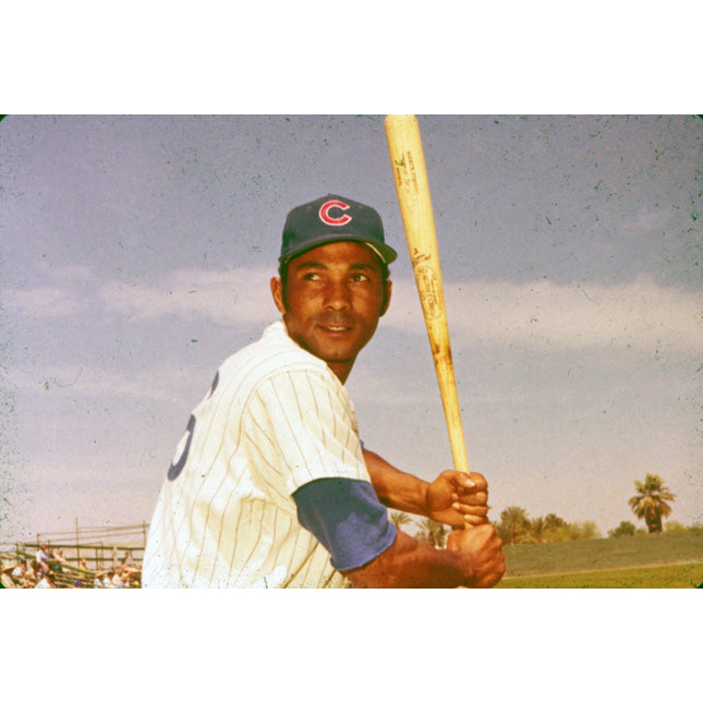 Original AP Billy Williams 60's70's Slide/Transparency Cubs T0380