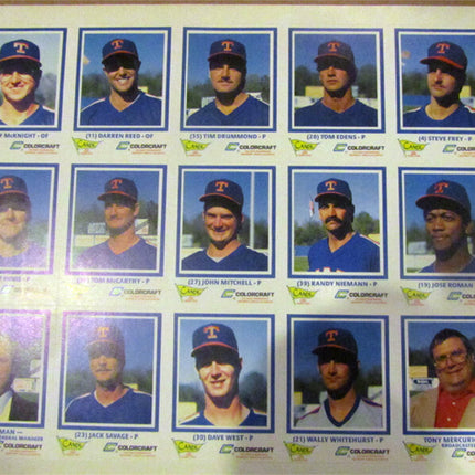 1988 Tidewater Tides ColorCraft CANDL Team Set Uncut Sheet 30 cards (Nrmt) e0065