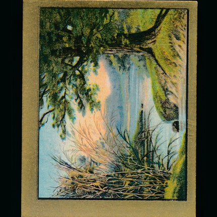 T57 Fable SeriesThe Oak and The Reed Exmt c04609