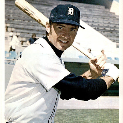1973 Detroit Tigers Team Issued Rich Reese 7" x 8 5/8" Color photo c06154