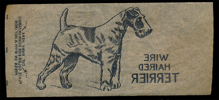 1940's Vintage Paper Iron On Animals Wire Haired Terrier Unused EX c06108