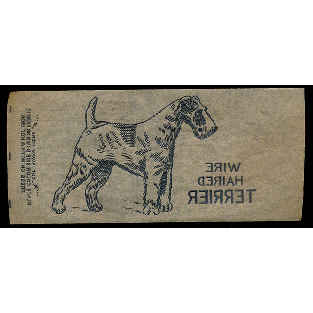 1940's Vintage Paper Iron On Animals Wire Haired Terrier Unused EX c06108