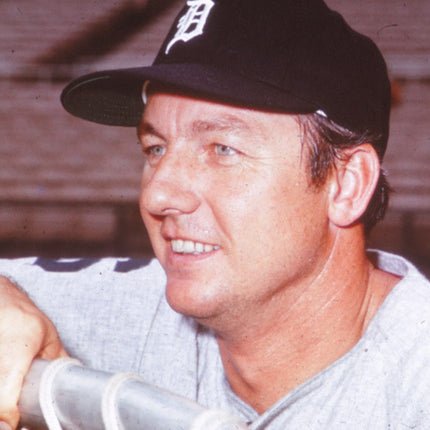 Original Kodak Al Kaline last 60's/early 70's Slide/Transparency Tigers T0377