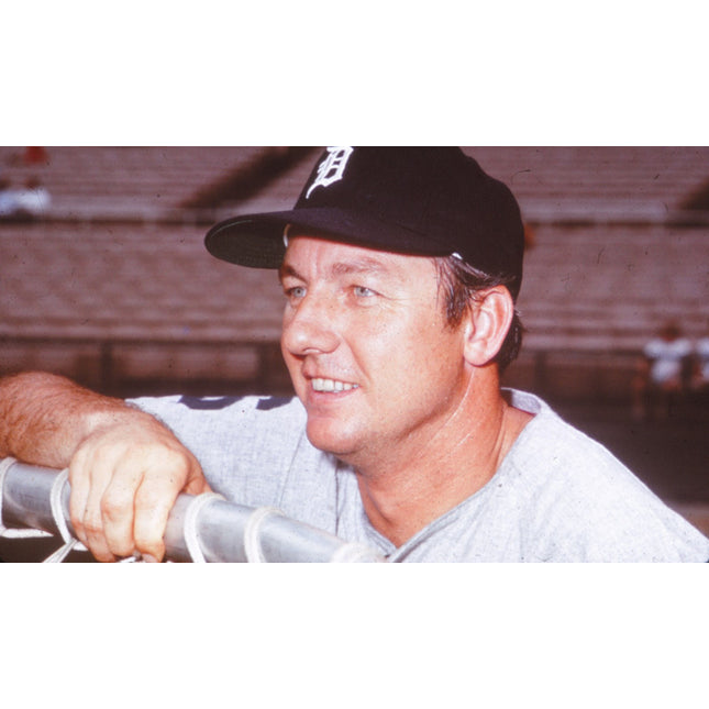Original Kodak Al Kaline last 60's/early 70's Slide/Transparency Tigers T0377