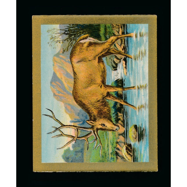 T57 Fable Series The Stag and The Pool Ex+ c04612