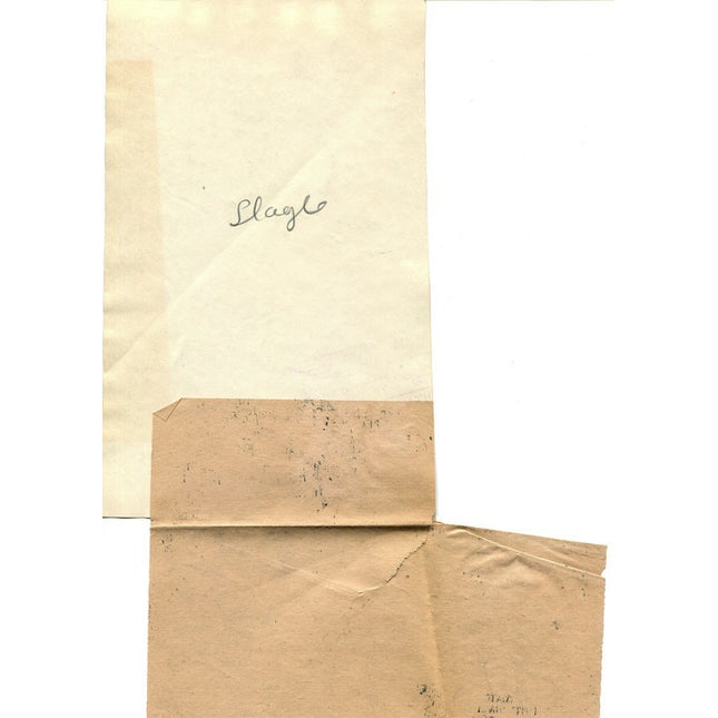 11-10-1924 Jake Slagel Princeton Halfback Type 1 Original photo a_178