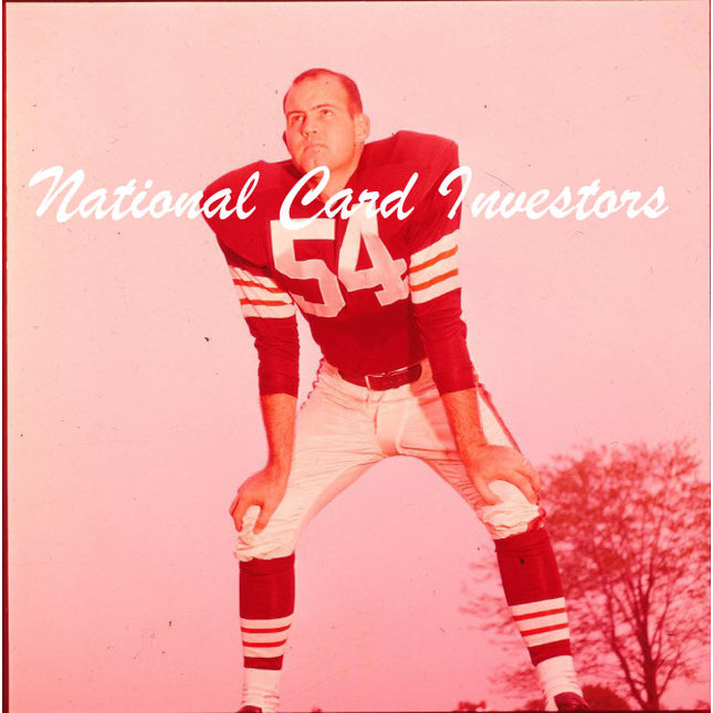 1950's Tom Catlin Topps Original Transparencies (3) Browns w/envelope tp00026