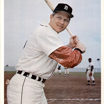 1973 Detroit Tigers Team Issued Jim Northrup 7" x 8 5/8" Color photo c06145
